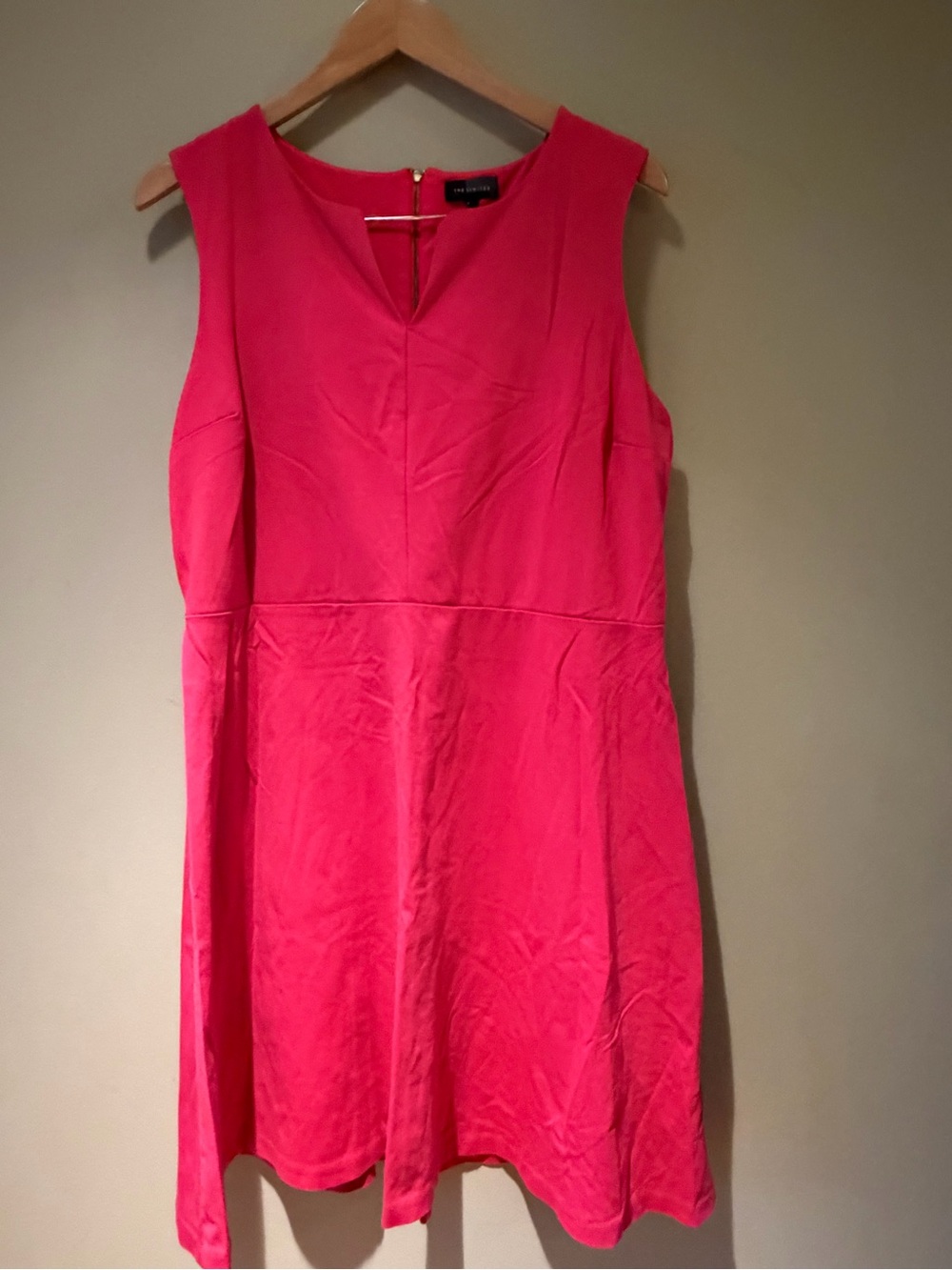 The Limited Bright Pink Sleeveless Fit-and-Flare Mini Dress XL